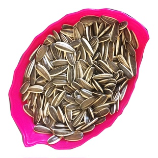 363生瓜子内蒙古大颗粒葵花瓜子内蒙古特产葵花生瓜子