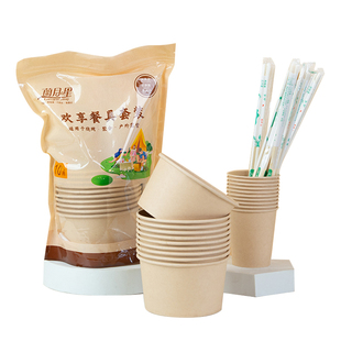 一次性餐具全套三件套碗筷套装食品级露营野餐盘子筷子饭碗纸碗盒