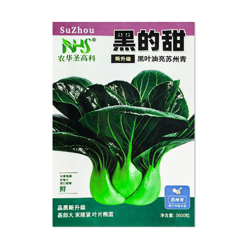 黑的甜黑叶油亮苏州青种子