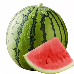 8424麒麟西瓜种子无籽高产冰糖懒人西瓜种子南方四季蔬菜水果种孑