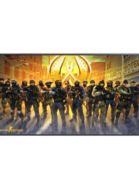 絮之家卧室CSGO游戏挂画