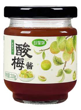 珍星鲜广式酸梅酱冰梅调味料