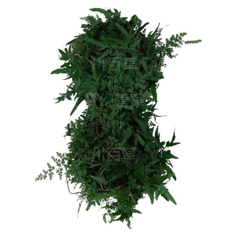 深山野海金沙藤新鲜晒干货天然中草药材排化打石茶铁线藤草叶500g