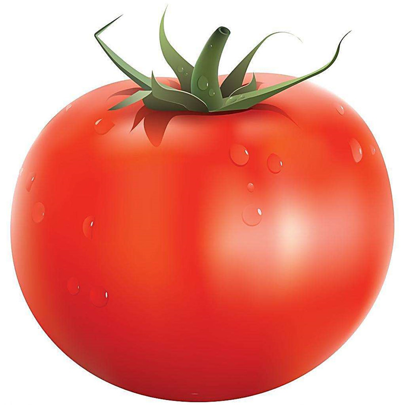番茄种子西红柿种籽耐热抗病毒进口高产粉红大果不裂果包邮巴博萨