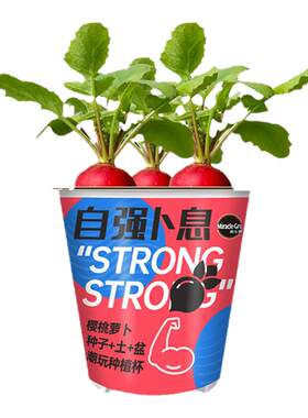 美乐棵植物潮玩杯番茄萝卜黄瓜