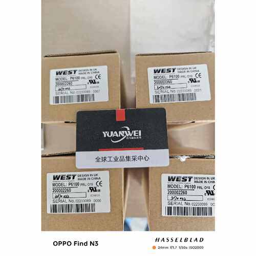 询价-WEST过程控制器P6100