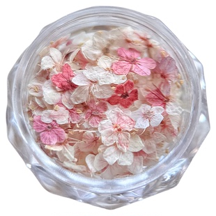 美甲干花素材混装莫奈花园精美五瓣花材料花朵装饰小碎花指甲饰品
