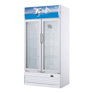 兴南铜管立式双门无霜风冷展示柜带锁陈列冰柜LG400/600/800/1000