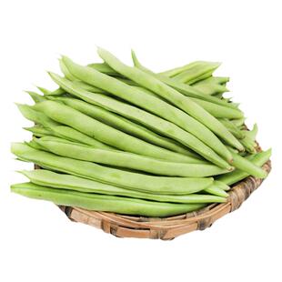 四季豆种子农家青芸豆种籽蔬菜籽大全早熟红花满架翠莹四季豆种孑
