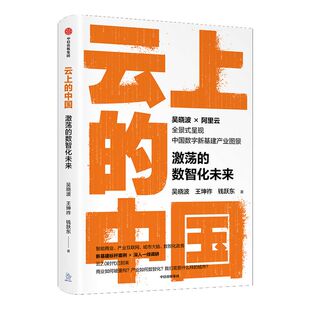 云上的中国 激荡的数智化未来 包邮 吴晓波等著 ChatGPT AIGC  吴晓波领衔调研 阿里云官方授权 智能商业产业互联网转型城市大脑数