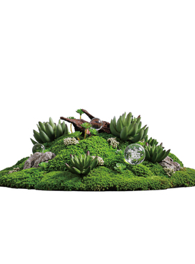 新中式永生苔藓造景茶室桌面摆件