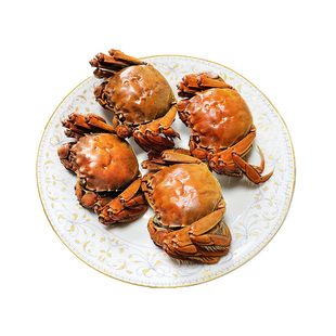 盘锦河蟹鲜活稻田蟹20只1-2.2两全母螃蟹大闸蟹礼盒辽宁稻田河蟹