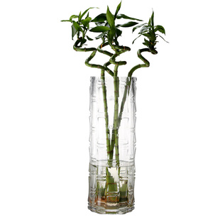 花瓶玻璃特大号落地桌面摆件水培富贵竹水竹直筒水养客厅简约居家