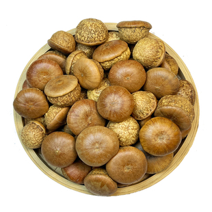 野生风流果中药材厚鳞柯益肾子龟头子石头果干货泡酒泡水煲汤材料