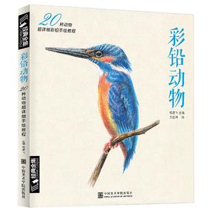 经典全集 彩铅动物 素描动物画入门基础教程书籍 手绘速写技法临摹色铅笔画画零基础初学者成人猫咪狗狗绘画教材正版 杨建飞主编