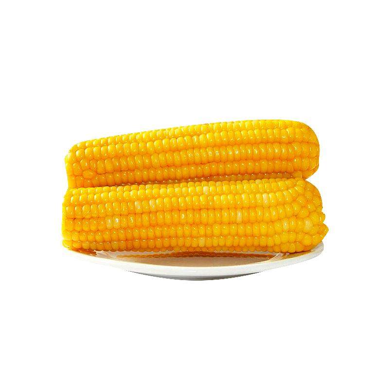 彩虹星球有机｜有机东北黄糯玉米200g*8香甜软糯苞米粗粮安心食材