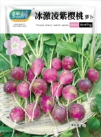 [Фиолетовый редис] Мороженое Фиолетовый вишневый редис, семена 5г, около 300 шт.