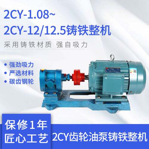 2CY齿轮油泵铸铁整机批发 保温齿轮泵 卧式2cy油循环抽油