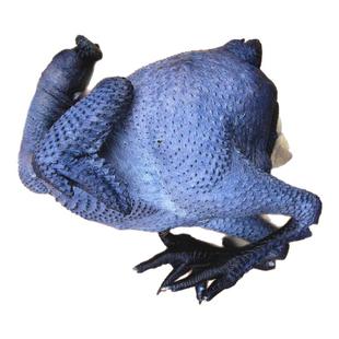 农家散养乌鸡土鸡老母鸡月子鸡乌骨鸡下奶老公鸡妇女调理健康补品