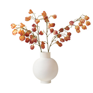 轻奢高级感栾树果灯笼果仿真花装饰客厅高端餐桌摆件假花摆设仿生