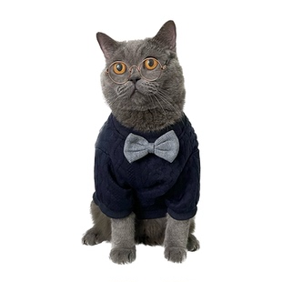 秋冬款狗狗猫咪衣服冬季保暖公猫英短蓝猫银渐层可爱小猫幼猫冬装