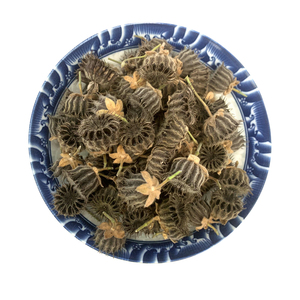 野生磨盘草果子磨盘草籽磨盘果响耳草果耳响草果籽干纯籽100g包邮