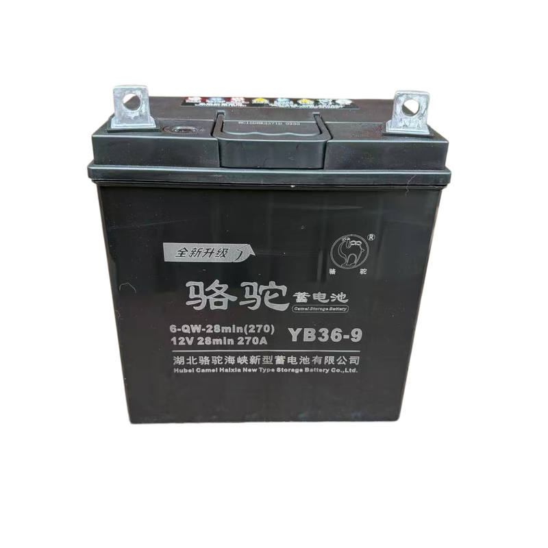 骆驼电池12V36A燃油三轮摩摩托车电瓶