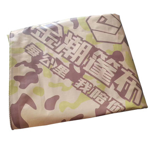 金潮货车PE篷布沙漠迷彩鹰式215超轻加厚防雨布防水防晒高栏挂车