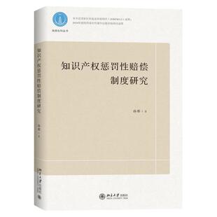 正版 知识产权惩罚性赔偿制度研究 孙那 北京大学出版社 立法司法实践指导分析 知识产权法学理论书籍法律读物 9787301357446