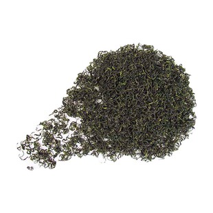 崂山绿茶2025年新茶春茶礼盒装豆香浓郁崂山茶一斤青岛特产