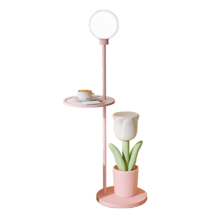 初见郁金香边几床头灯创意客厅沙发边角几网红设计师艺术感茶几桌