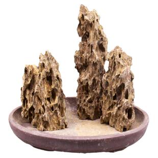 大块松皮石鱼缸造景假山平底石头水陆缸青龙石天然盆景石景观石料