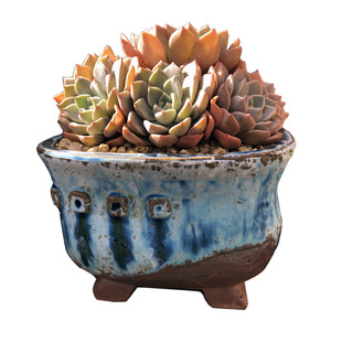 青藤复古四方多肉花盆古朴大口径精做粗陶麦饭石白菊群生青铜方盆