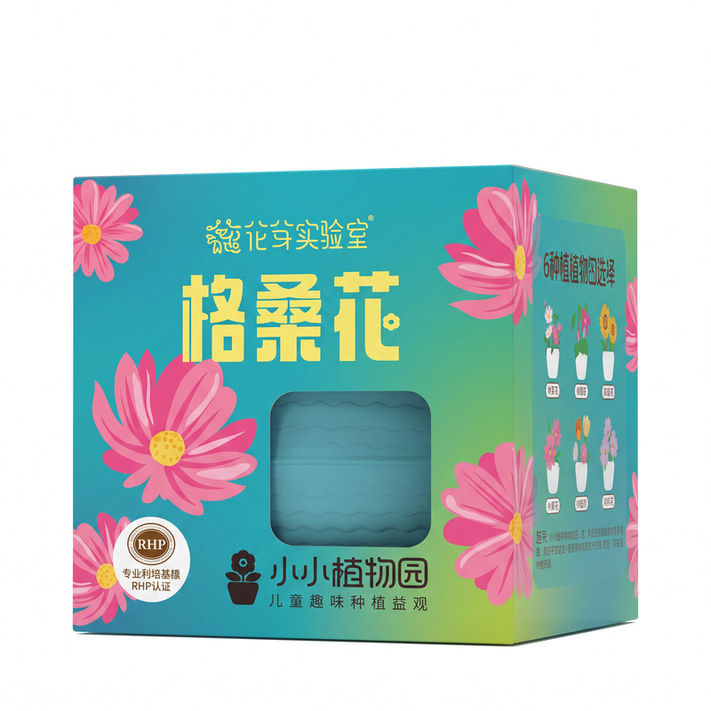 小小植物园 波斯菊盆栽种子自己桌面绿植