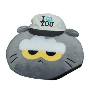 ZO&FRIENDS LUCKY SHOP 系列抱枕 LINE FRENDS 连我朋友