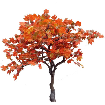 仿真枫树新年橱窗活动落地装饰树