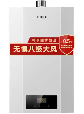 FOTILE方太恒温强排热水器16L