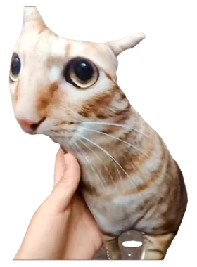 丑猫抱枕定制印照片定做异形玩偶宠物枕头猫狗仿真礼物靠枕靠垫子