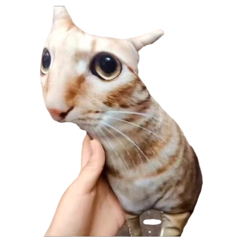 丑猫抱枕定制印照片定做异形玩偶宠物枕头猫狗仿真礼物靠枕靠垫子