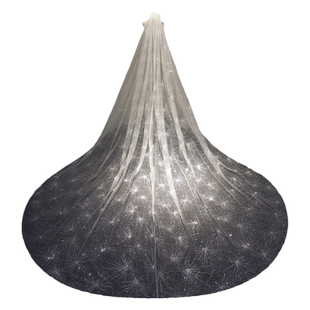 超长款拖尾轻头纱高级新娘主婚纱香槟色法式结婚拖地遮面婚礼头饰