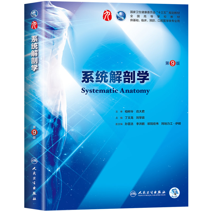 系统解剖学第10版第十轮