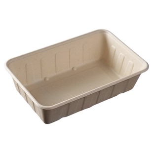 2500ml大容量长方形一次性打包盒外卖餐盒可降解轻食水果沙拉盒