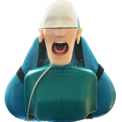 牙科教学模型仿真口腔种植修复