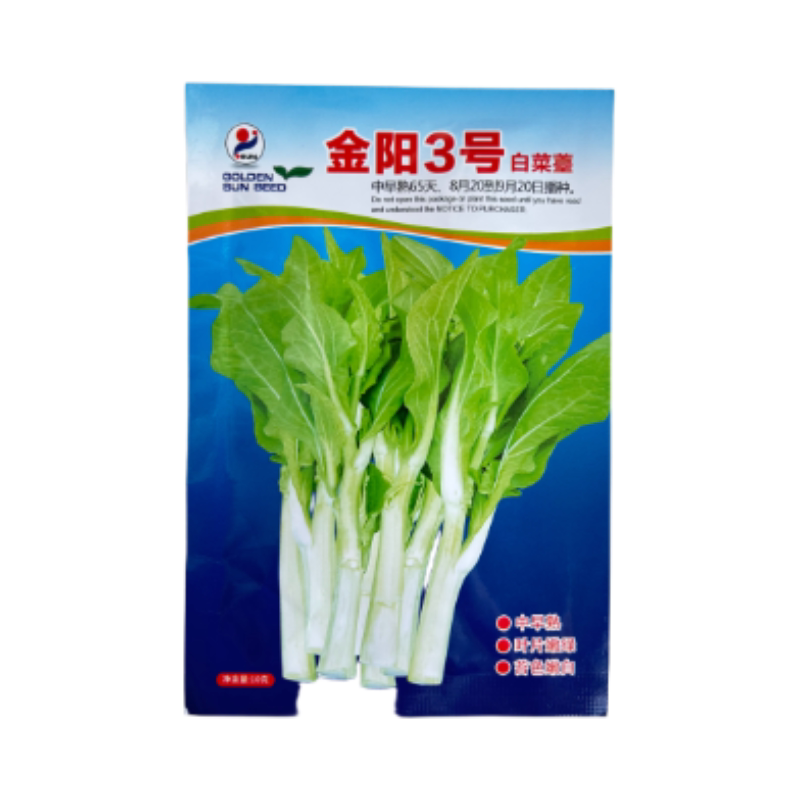 【金阳3号】65天中早熟白菜苔种子侧苔多粗细均匀耐寒能力强