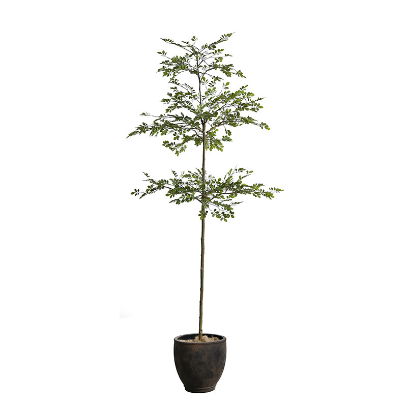 形上落地盆景粗陶花瓶绿植组合