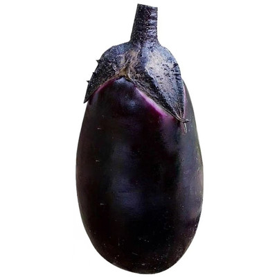 牛心茄种子产量高抗病好