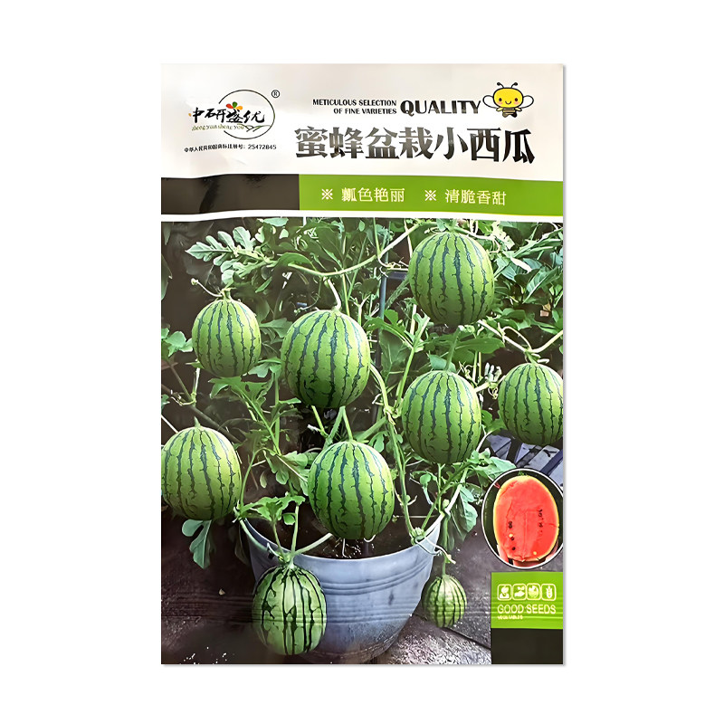 中研盛优蜂蜜盆栽小西瓜种子