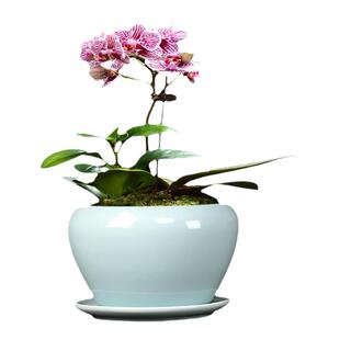 哥窑兰花花盆陶瓷高款吊兰君子兰绿植多肉蝴蝶兰专用盆造景大口径