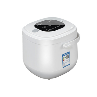 车载电饭煲12V24V220V通用2L大容量大货车小车专用车家两用自驾游