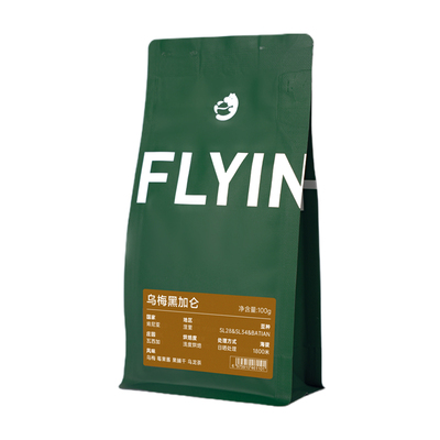 FLYINGHIPPO肯尼亚手冲咖啡豆